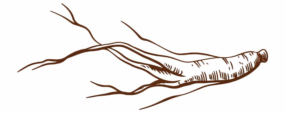 Sugar free chocoalte